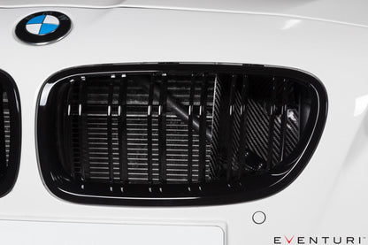 Eventuri Carbon Ansaugsystem für BMW F1X M6 - gepfeffert.com