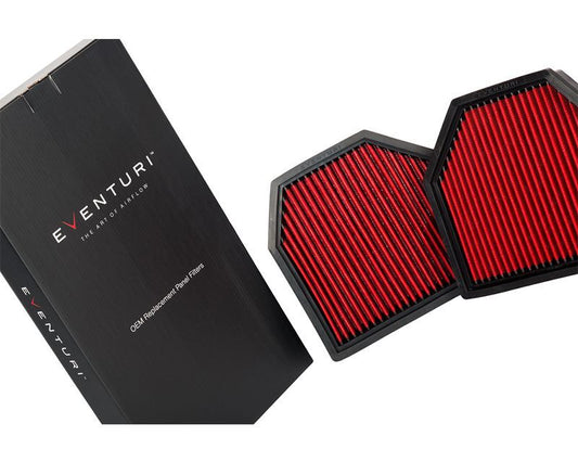 Eventuri Panel Filter Pair für BMW F8x M3 M4 - gepfeffert.com