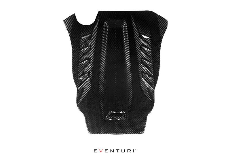 Eventuri Carbon Luftsammler passend für BMW S85 Motor M5 M6