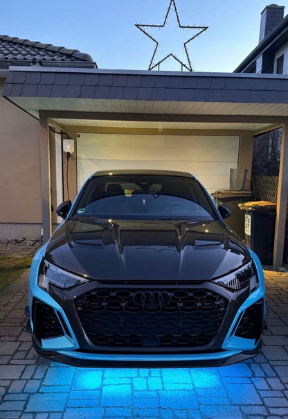 CPG Motorhaube CPG Carbon passend für  Audi RS3 8Y - gepfeffert.com